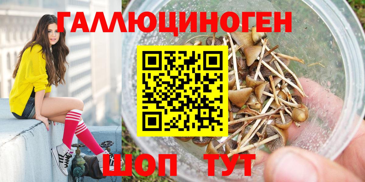 Кинель  Псилоцибиновые грибы MAGIC MUSHROOMS  Вход с VPN 